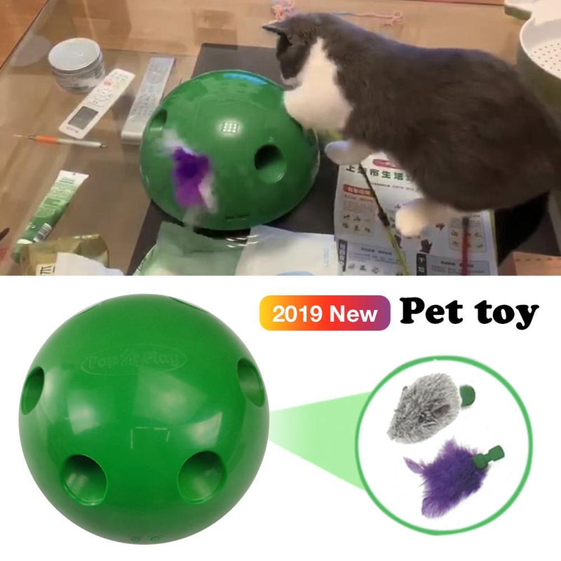Brinquedo de Movimento para Gatos